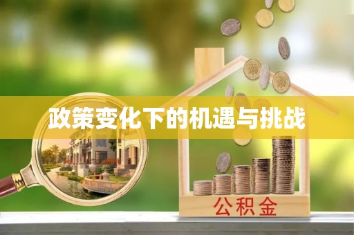 禹会政策变化下的机遇与挑战