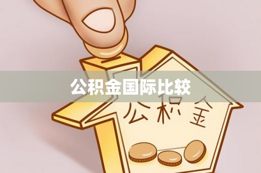 禹会公积金国际比较