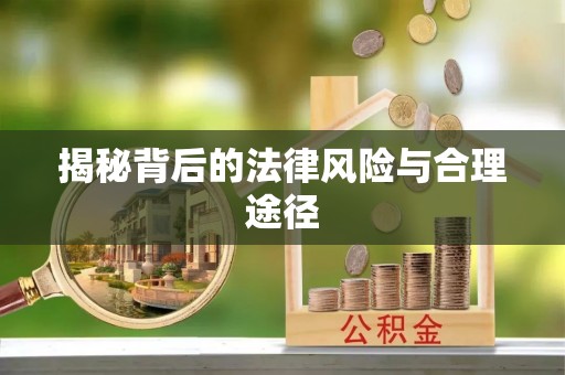禹会揭秘背后的法律风险与合理途径