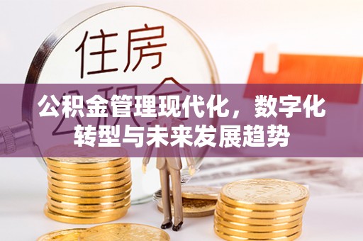禹会公积金管理现代化，数字化转型与未来发展趋势