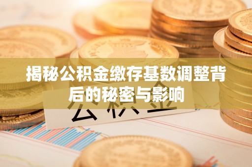 禹会揭秘公积金缴存基数调整背后的秘密与影响