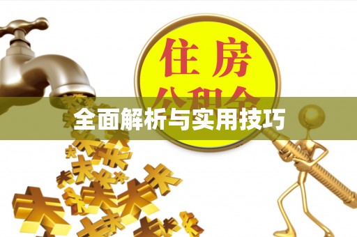 禹会全面解析与实用技巧