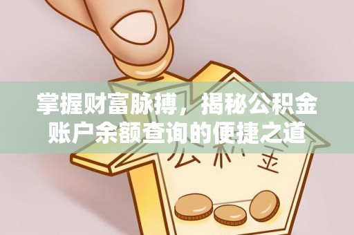 禹会掌握财富脉搏，揭秘公积金账户余额查询的便捷之道