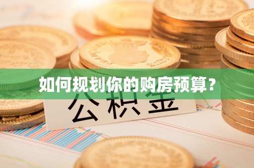 禹会如何规划你的购房预算？