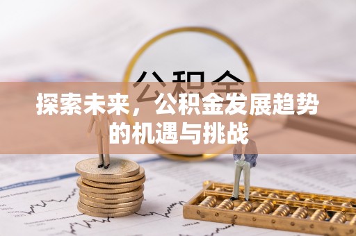 禹会探索未来，公积金发展趋势的机遇与挑战
