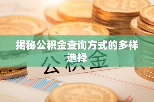 禹会揭秘公积金查询方式的多样选择