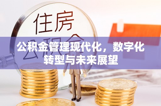 禹会公积金管理现代化，数字化转型与未来展望