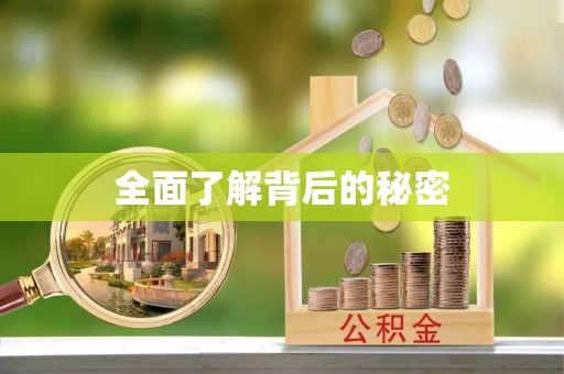 禹会全面了解背后的秘密