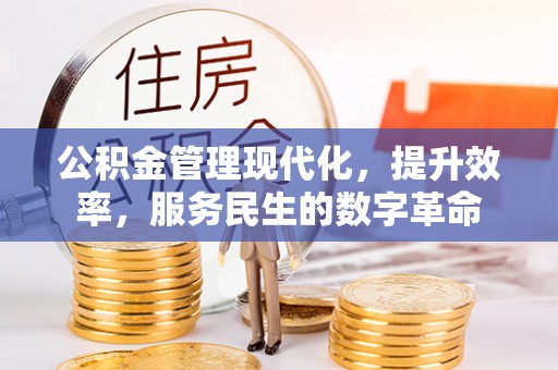 禹会公积金管理现代化，提升效率，服务民生的数字革命