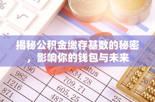 禹会揭秘公积金缴存基数的秘密，影响你的钱包与未来