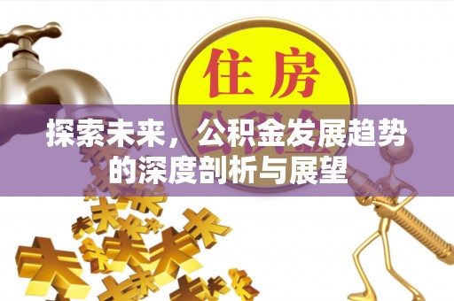 禹会探索未来，公积金发展趋势的深度剖析与展望