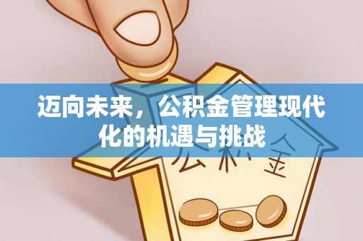 禹会迈向未来，公积金管理现代化的机遇与挑战