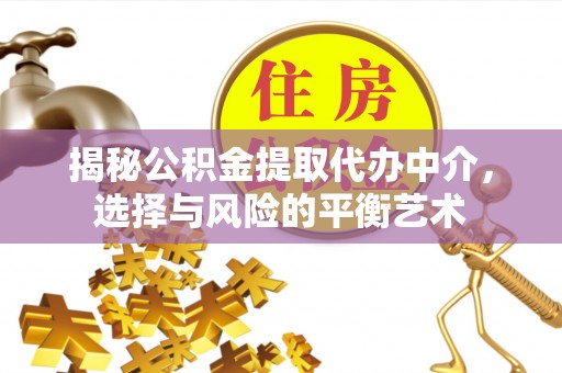 禹会揭秘公积金提取代办中介，选择与风险的平衡艺术