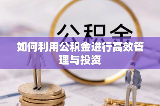 禹会如何利用公积金进行高效管理与投资