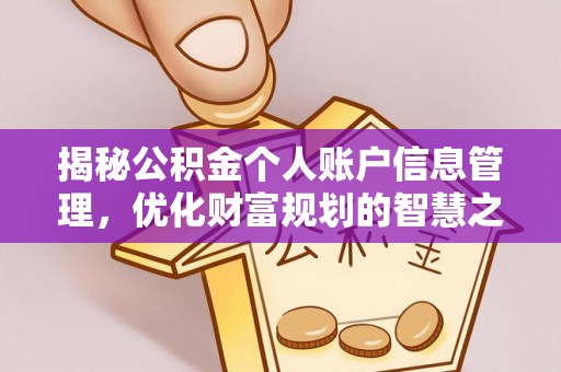 禹会揭秘公积金个人账户信息管理，优化财富规划的智慧之选
