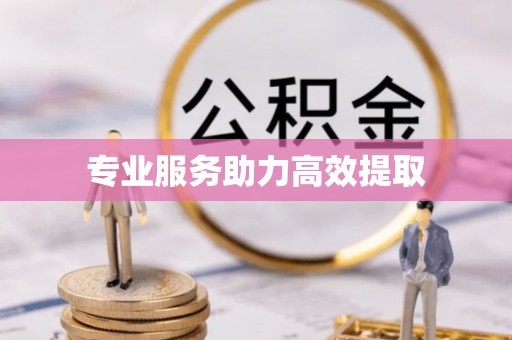 禹会专业服务助力高效提取