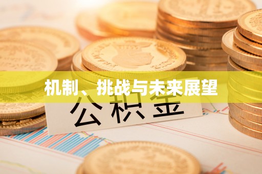 禹会机制、挑战与未来展望