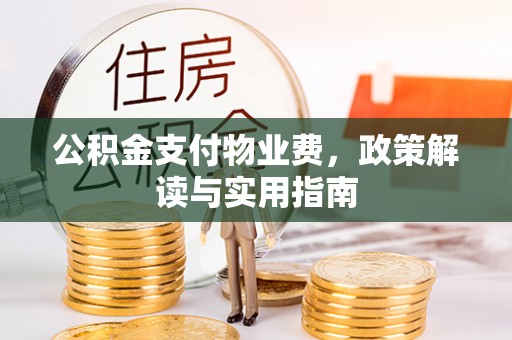 禹会公积金支付物业费，政策解读与实用指南