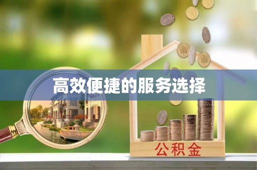 禹会高效便捷的服务选择