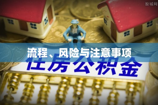 禹会流程、风险与注意事项